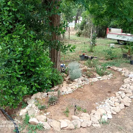 Vecchia Aurelia Bed & Breakfast Spergolaia